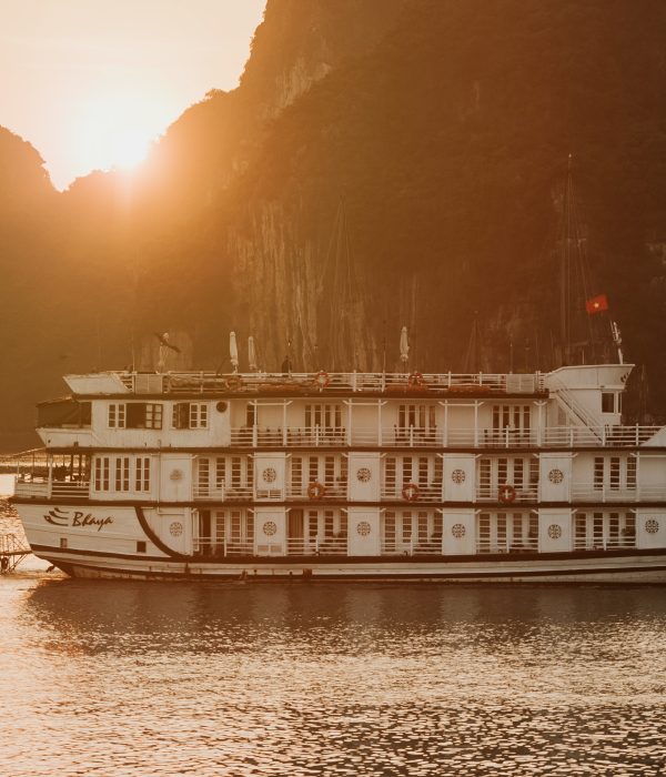 Bhaya classic cruise