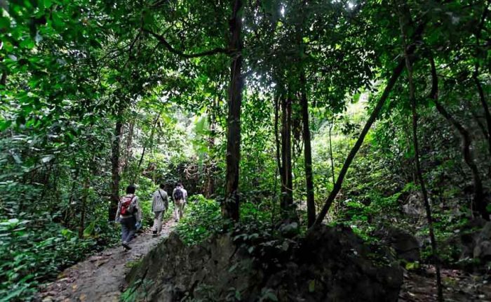 cuc phuong national park