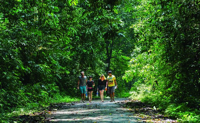cuc phuong national park