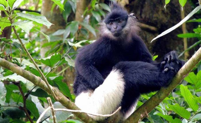 cuc phuong national park