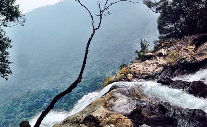 bach ma national park