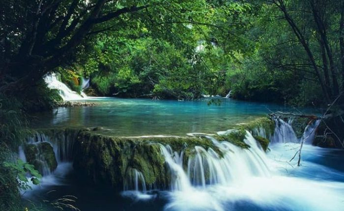 bach ma national park