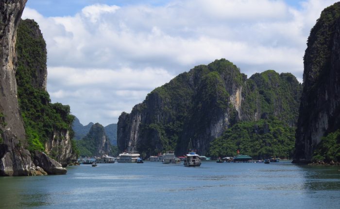 bai tu long bay