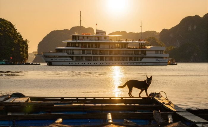bhaya soul cruise halong bay
