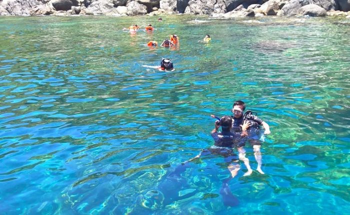 cham island snorkeling