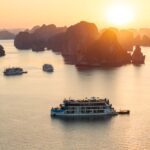 cycad cruise bai tu long bay