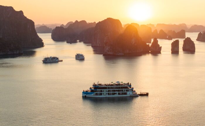 cycad cruise bai tu long bay