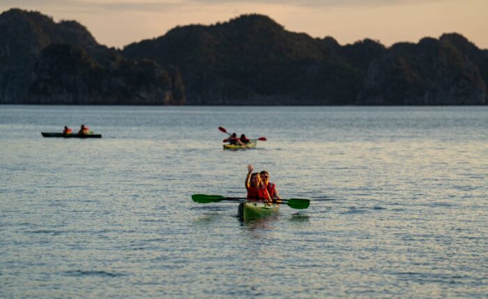 cycad cruise bai tu long bay