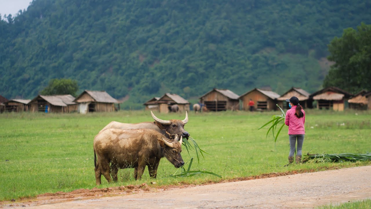 tan hoa best tourism village vietnam